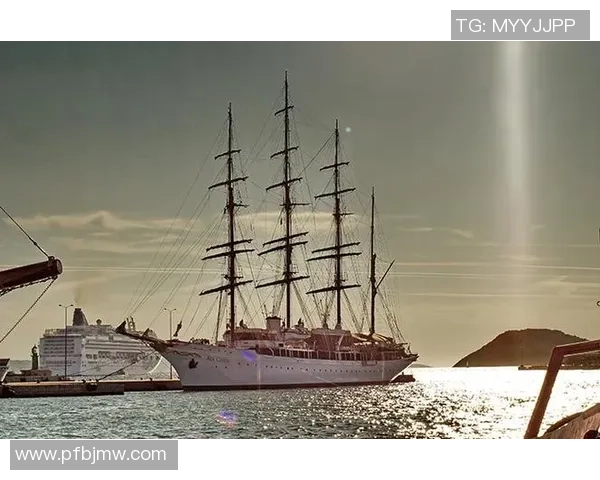 足球明星乘坐公务机的奢华之旅揭秘与背后的故事分析