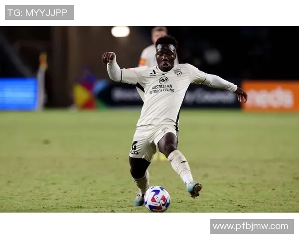 杭州网球队的整体压制革新与战术变革深度解析